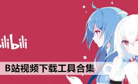 免费b站视频app下载安装_从b站下载视频_b站下载视频解析错误