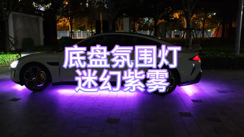 腊月初五出生的男孩什么命_腊月狗女_腊月二十九