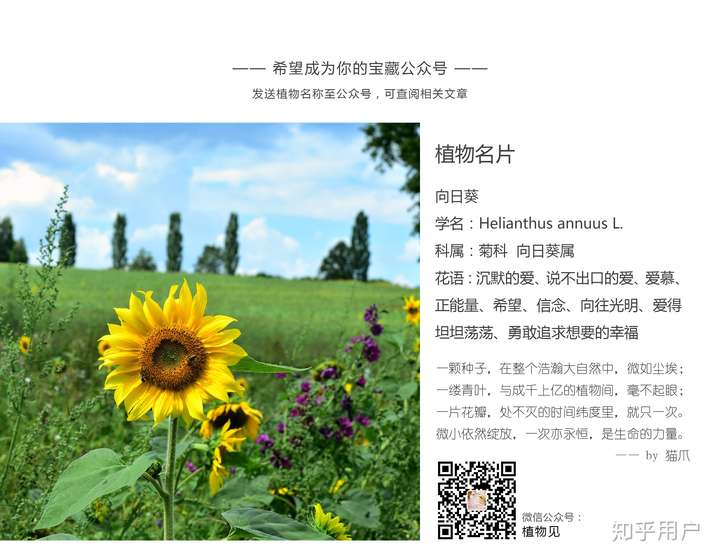 碧蓝航线普林斯顿萌娘百科_碧蓝航线普林斯顿号航空母舰_碧蓝航线普林斯顿