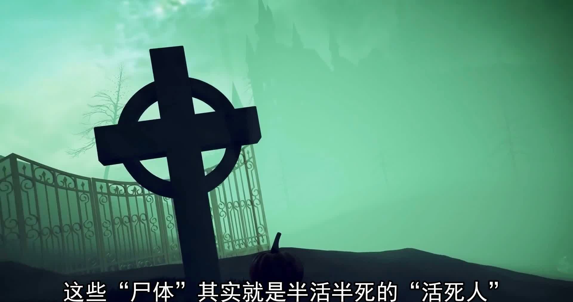 scp手机多人游戏_手机游戏人物成精了nhp_手机游戏人气排行榜