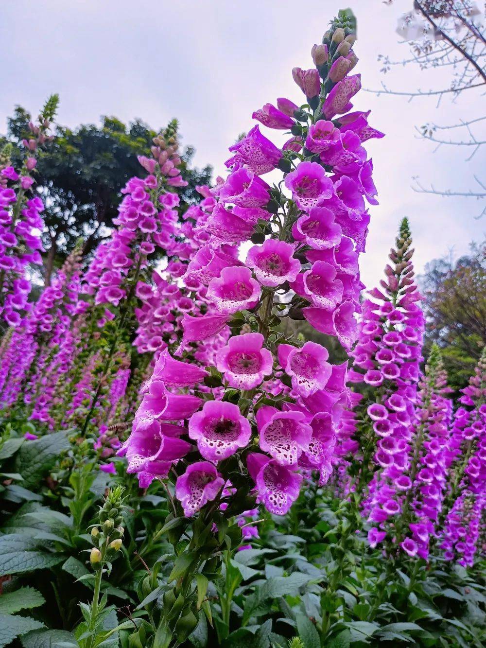spring特性_特性的近义词_特性英文