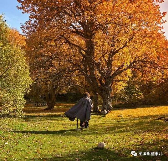 h手机类游戏_解谜类手机游戏_单机养成类手机游戏