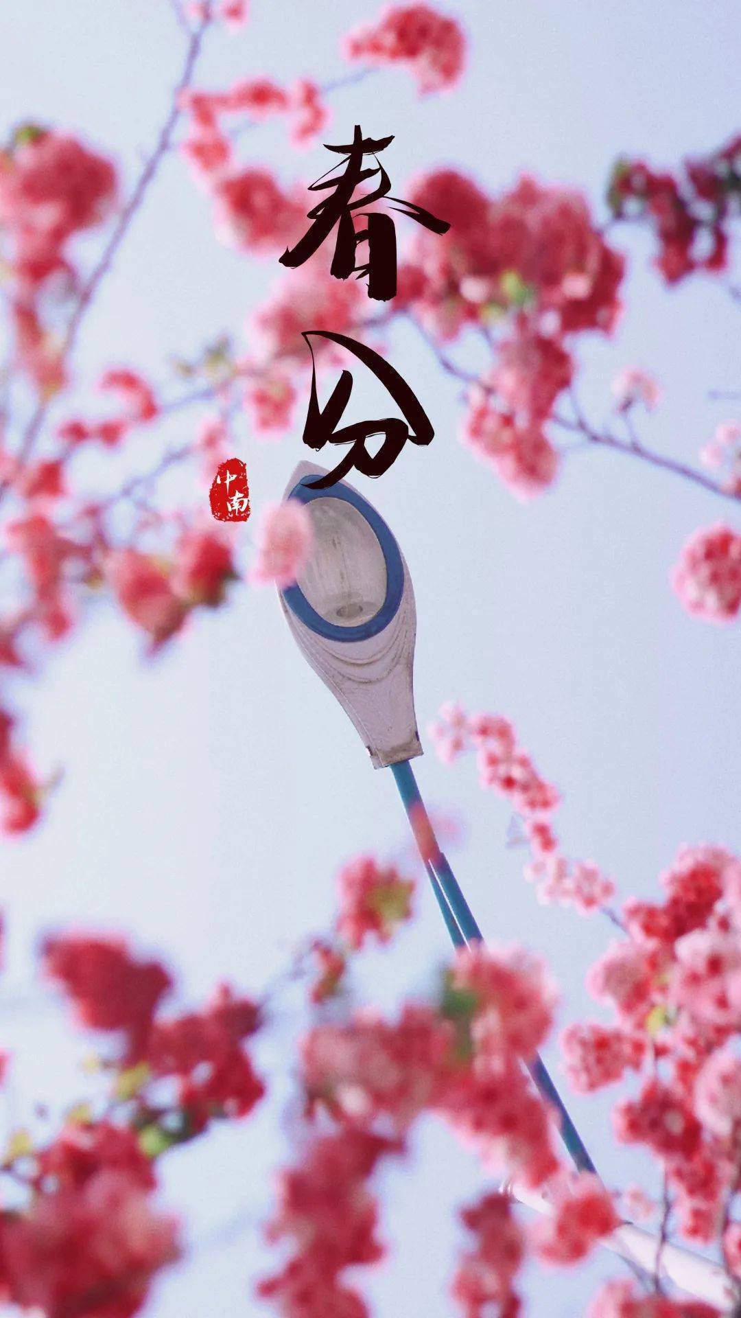 春分2022的几月几日_2022春分_春分2022年什么时间