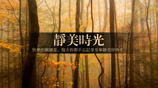今日时间年月日_今日时间相机下载_今日时间
