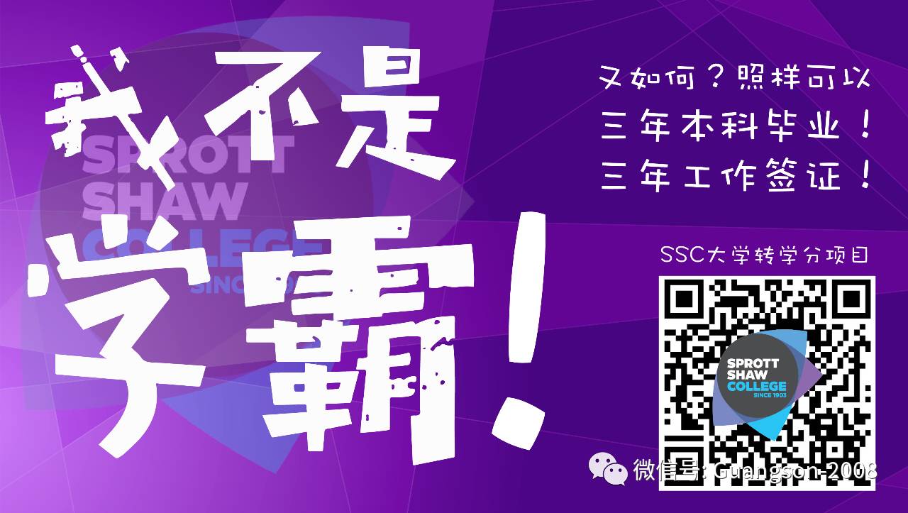 加拿大虫：神秘小精灵，带来悠闲与哲理，也有小烦恼