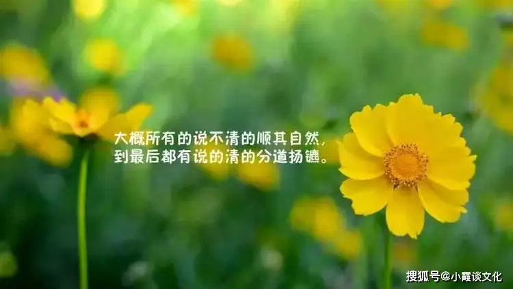 林彪坠机前5分钟录音_宜人贷收盘前10分钟狂拉15_深夜前的五分钟