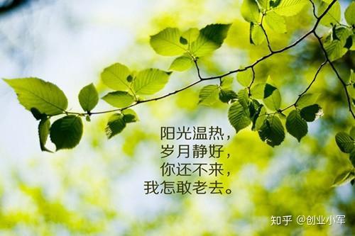 林彪坠机前5分钟录音_宜人贷收盘前10分钟狂拉15_深夜前的五分钟