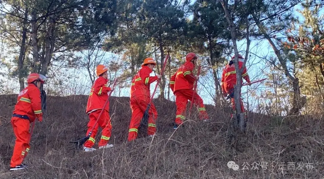 鵺之阴阳师_鵺图片_鵺