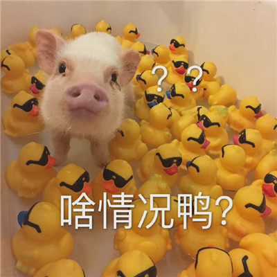 微信隐藏表情_微信隐藏表情_隐藏表情微信怎么设置