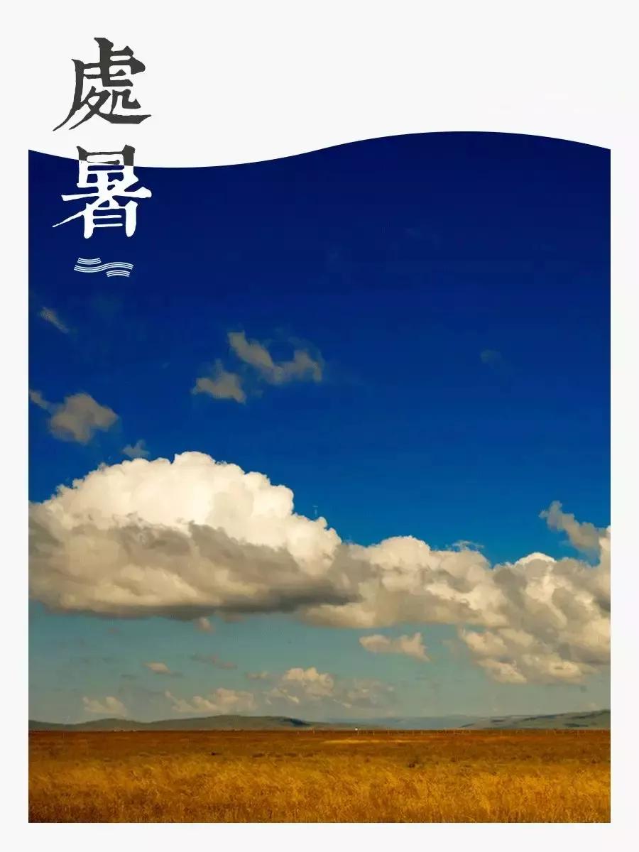 处暑养生菜_处暑养生食谱_处暑