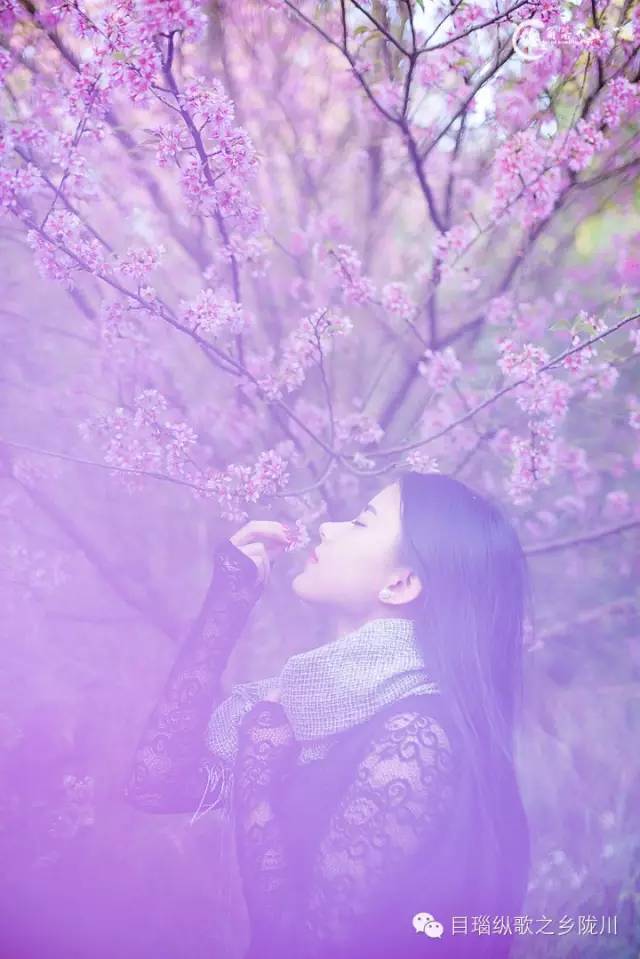 比奈智力测验_比奈西蒙量表_朝比奈さき