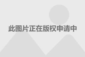 隔离游戏攻略_隔离花坛手机游戏_花坛隔离栏