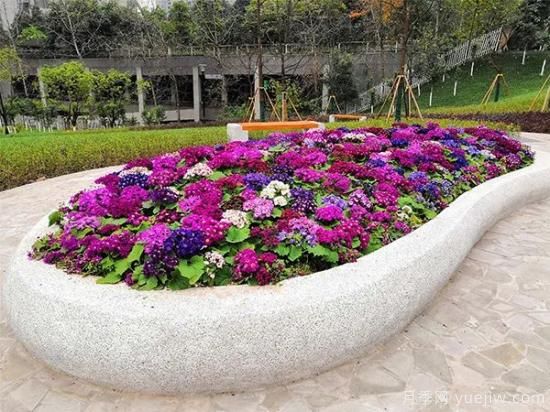 隔离花坛手机游戏_隔离游戏攻略_花坛隔离栏
