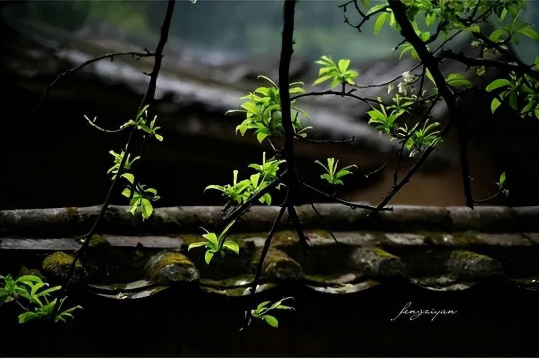 春雨古诗手机游戏-春雨古诗：一款治愈系手机游戏，将春天细雨与