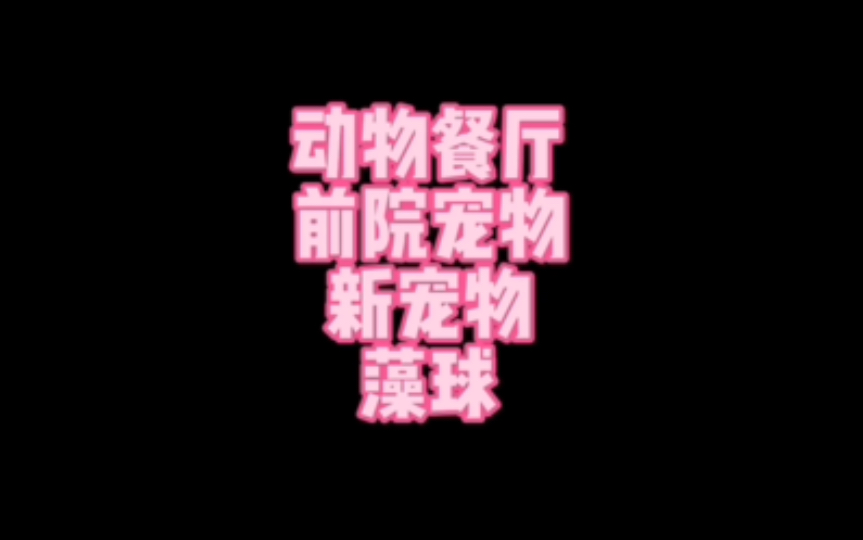 动物餐厅游戏机游戏_动物餐厅手机版在线玩游戏_动物餐厅这个游戏