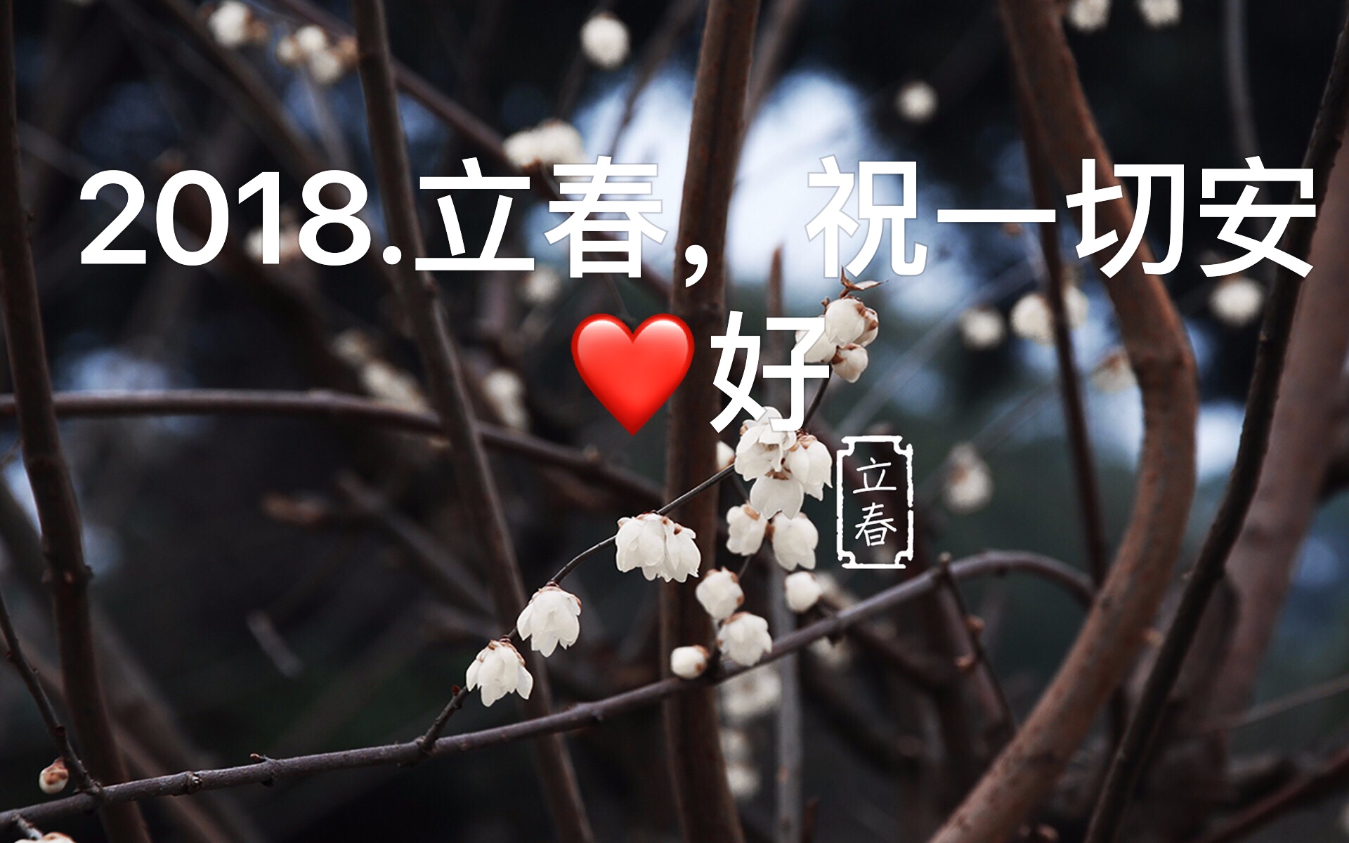 立春的**俗_立春的**俗_立春的**俗