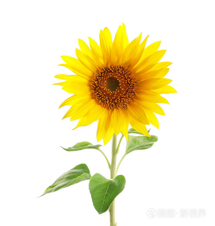 前十手机游戏_排行榜游戏手机_4199游戏手机排行