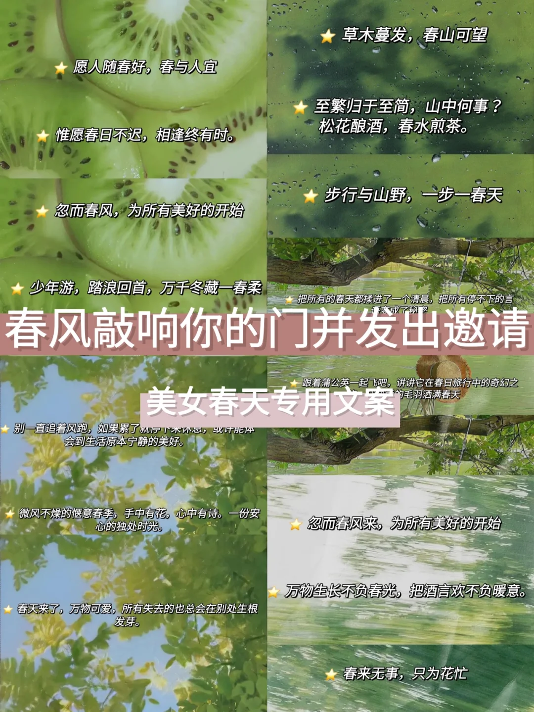 玛修·基列莱特_玛修·基列莱特_玛修·基列莱特