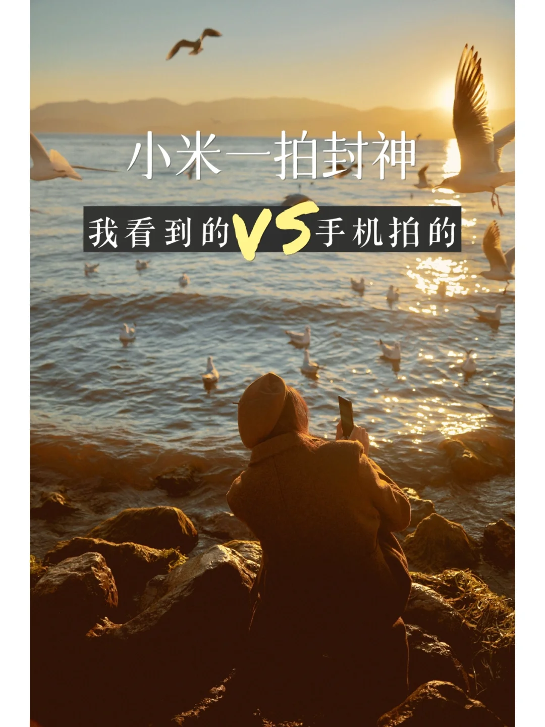 大圣玩游戏的视频_大圣玩吃鸡游戏的视频_大圣整天玩手机游戏视频