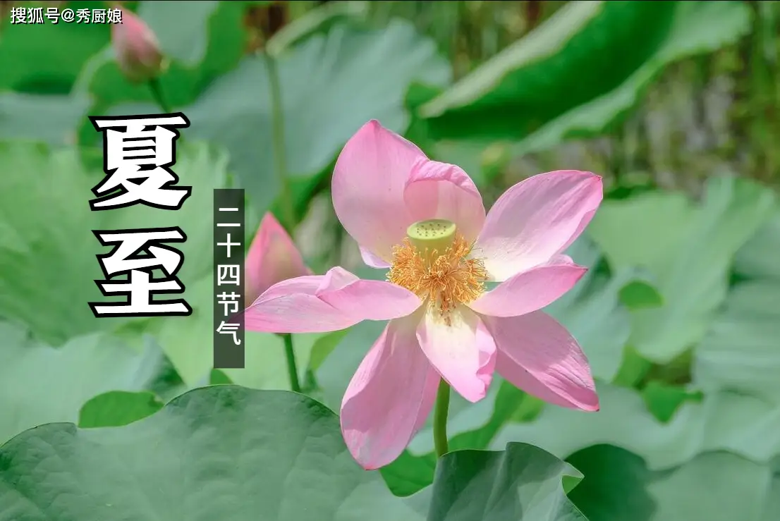 夏至是多少月多少日_夏至是几月几号_夏至是哪一月