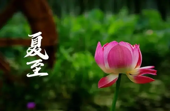 夏至是多少月多少日_夏至是哪一月_夏至是几月几号