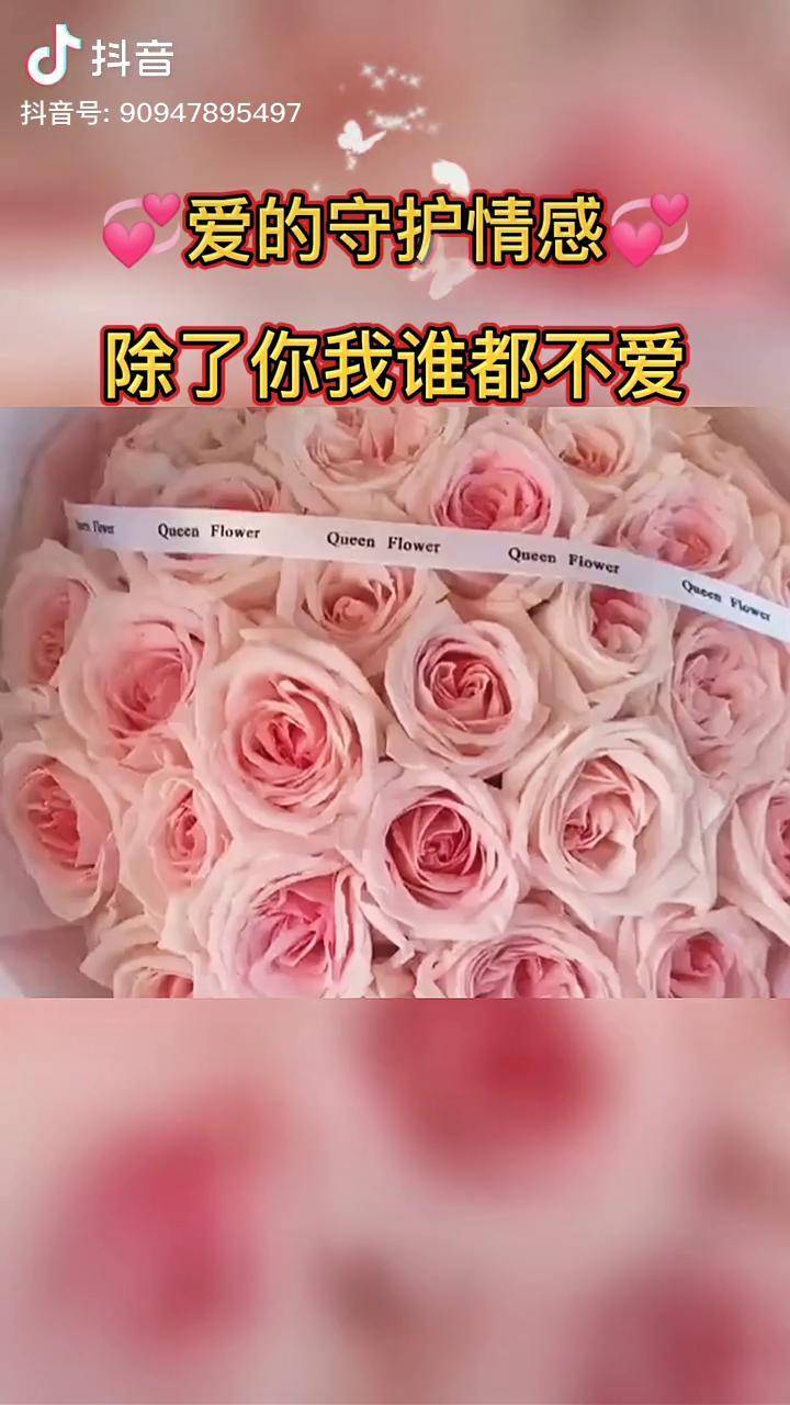 微信网络版_微信网络设置在哪里打开_微信网络版本怎么弄