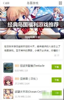 nightgamer游戏网瘾少女 