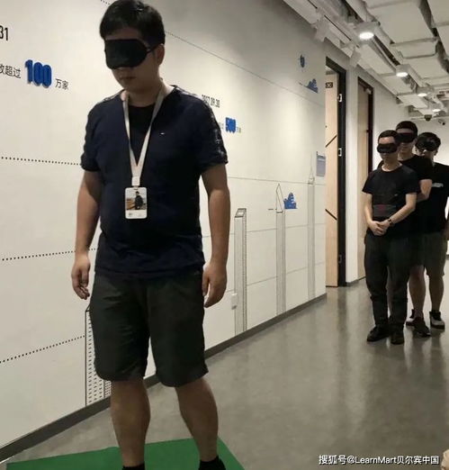 阿瓦贝尔圣境之花 